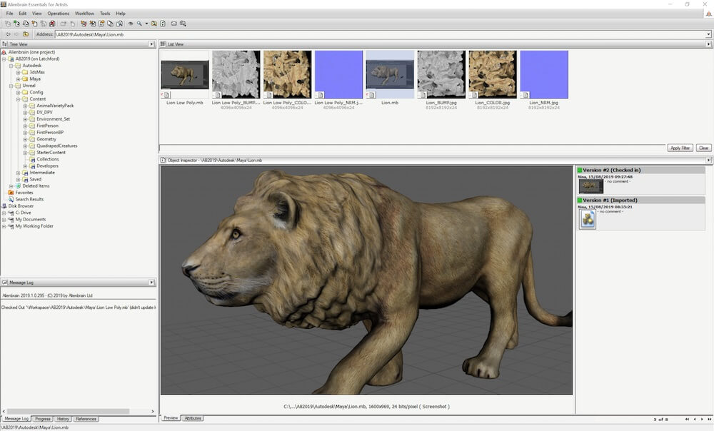 Version control for animation